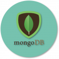 gallery/mongodb